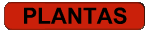 Plantas
